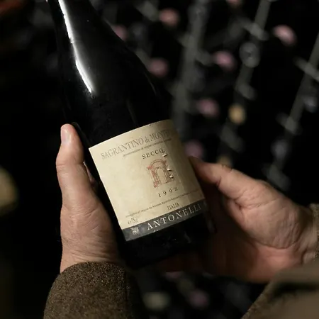 Retrocantina Antonelli * Montefalco