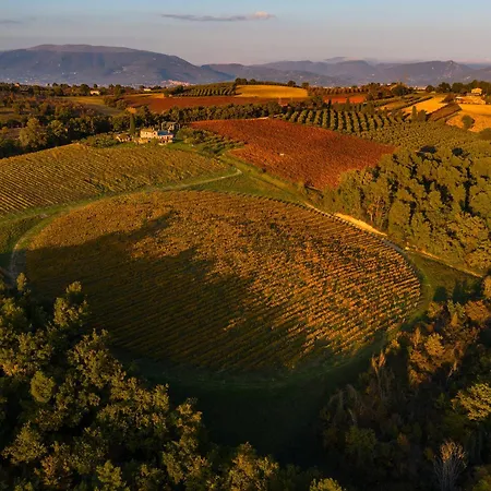 Retrocantina Antonelli Oda ve Kahvaltı