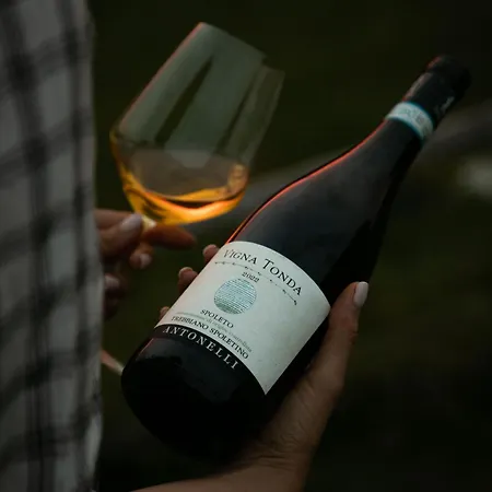 Retrocantina Antonelli Oda ve Kahvaltı