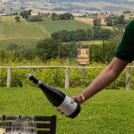 Retrocantina Antonelli Oda ve Kahvaltı