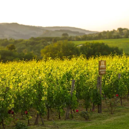 Retrocantina Antonelli 3*