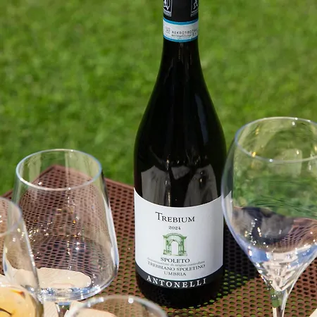 Retrocantina Antonelli