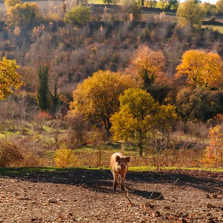 Retrocantina Antonelli 3*