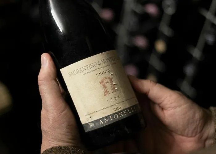 Retrocantina Antonelli 3* Montefalco