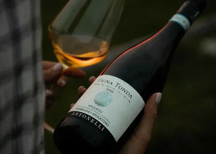 Retrocantina Antonelli فندق مبيت وإفطار