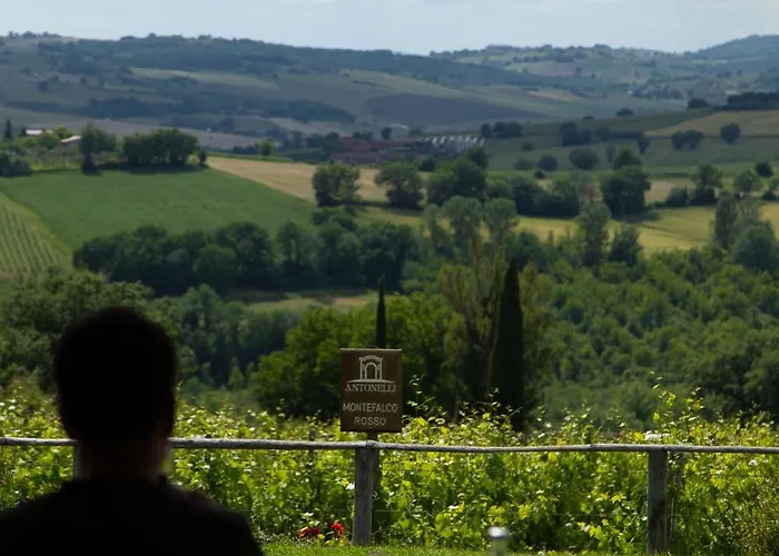 Retrocantina Antonelli 3* Montefalco