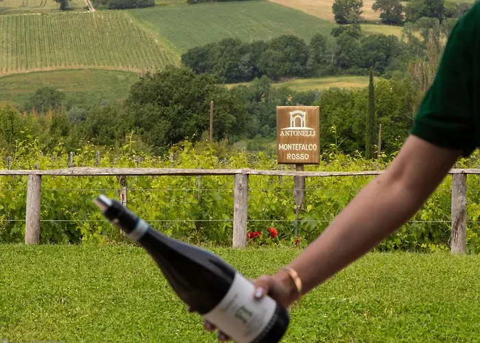 Retrocantina Antonelli Bed & Breakfast