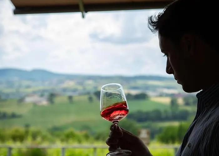 Retrocantina Antonelli Bed & Breakfast 3*