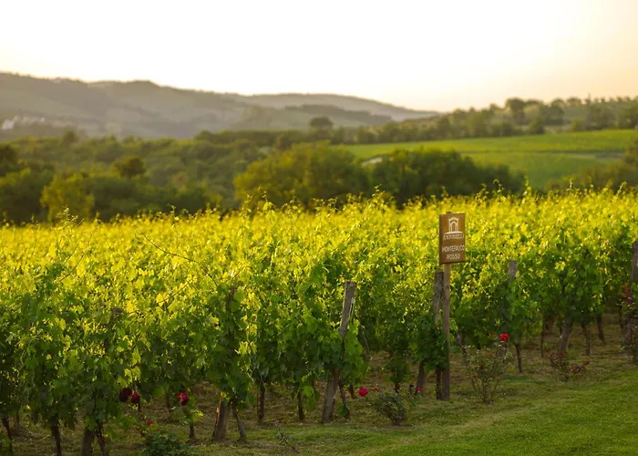 Retrocantina Antonelli 3*