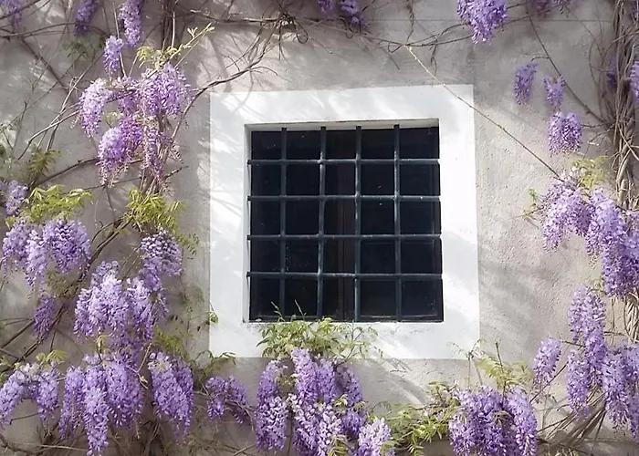 Retrocantina Antonelli Montefalco