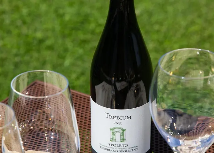 Retrocantina Antonelli