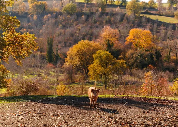 Retrocantina Antonelli 3*